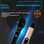 Corwith CH-320 Handheld Microphone - Image 2