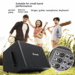 Corwith C2 Musical Instrument Outdoor Roadshow Speaker - Image 3