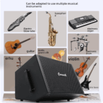 Corwith C2 Musical Instrument Outdoor Roadshow Speaker - Image 4